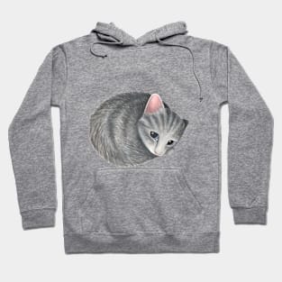 Cat Hoodie